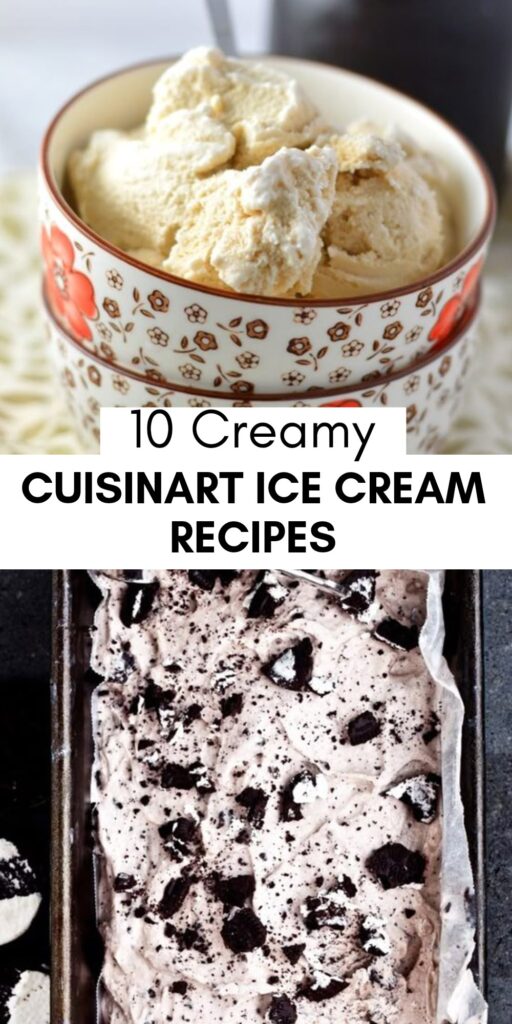 10 Homemade Cuisinart Ice Cream Recipes
