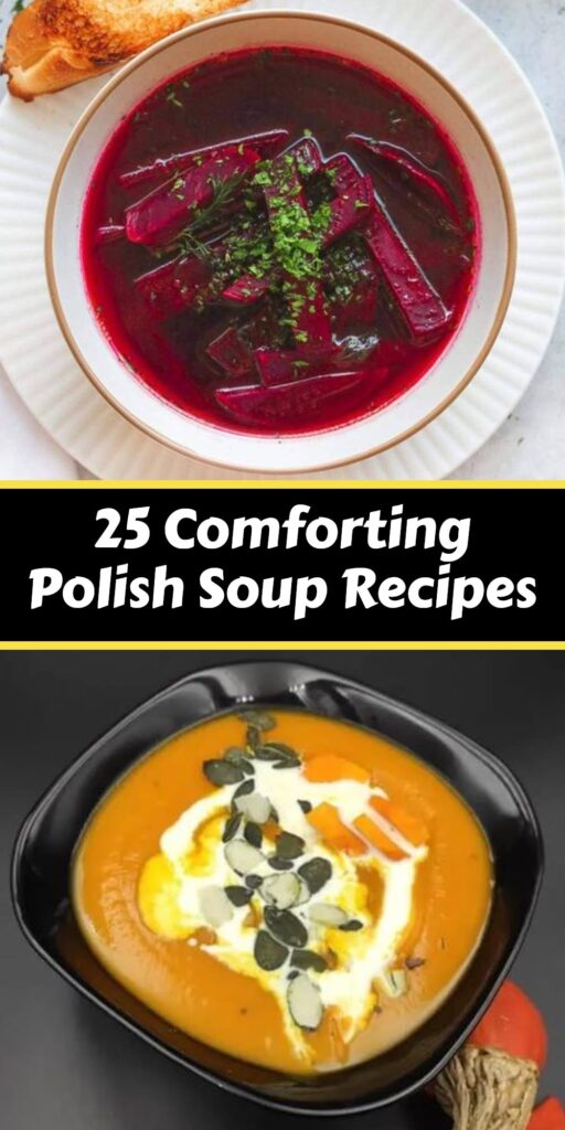 25 Authentic Polish Soup Recipes