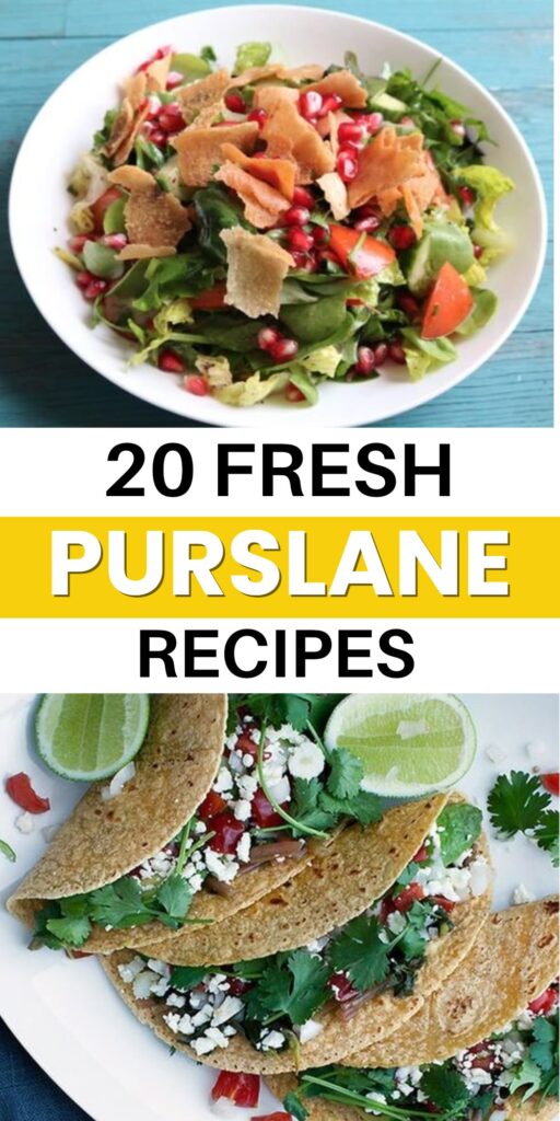 20 Flavorful Purslane Recipes