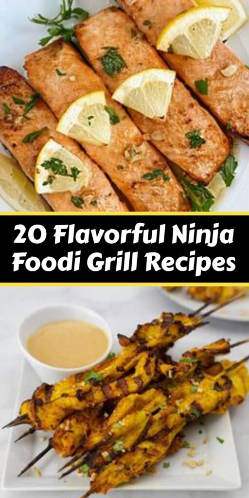 20 Easy Ninja Foodi Grill Recipes