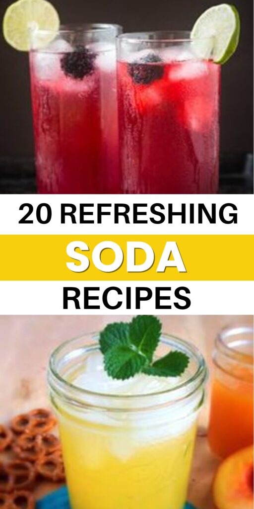 20 Homemade Soda Recipes