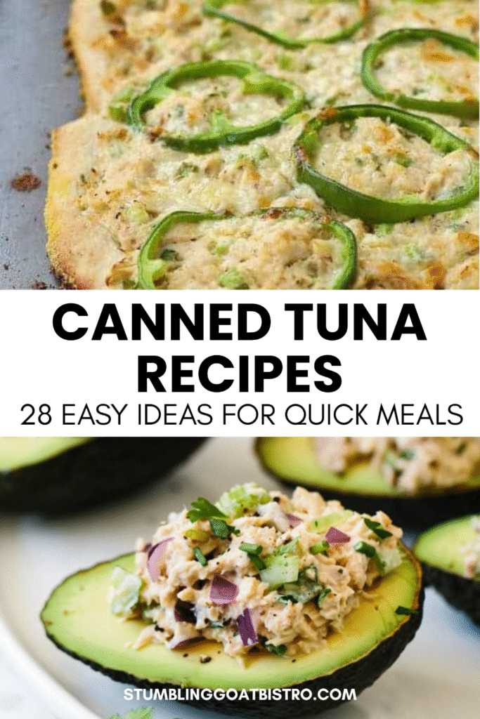 Canned Tuna Recipes
